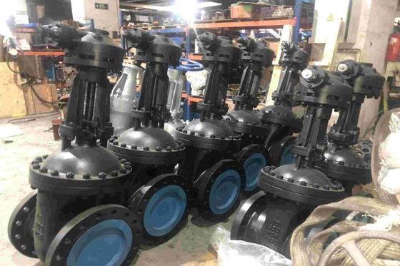 Residential Solutions Globe Steel Valve voor commercieel gebruik