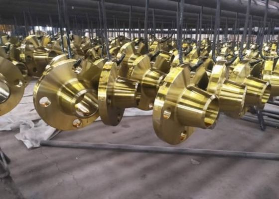 Slip On Welding Steel Pipe Flanges Voor NBR/Viton Diafragma Verbindingen