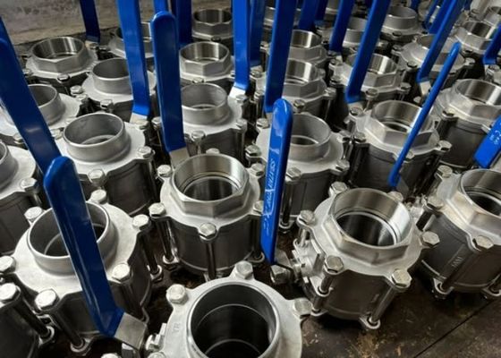 1/2 inch roestvrijstalen klep voor zware en hoge druk toepassingen