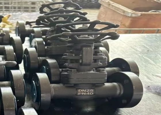 1/2 inch stalen kleppen met gesloten motorkap en ODM-ondersteuning