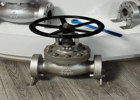 DN10-DN50 stalen kleppen met op maat gemaakte ondersteuning en handmatige bediening