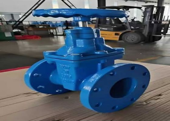 1/2 inch gespannen koppel stalen kleppen voor poortklep poortgrootte DN10-DN50 en klasse 150lb-1500lb