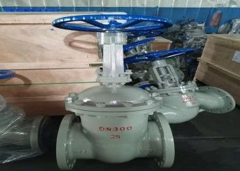 Handmatig enkel wedge roestvrijstalen vlinderklep DN10-DN50