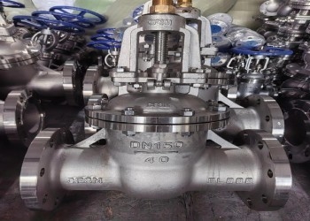 Handmatige stalen poortklep DN10-DN50