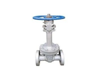 Handmatig enkel wedge roestvrijstalen vlinderklep DN10-DN50