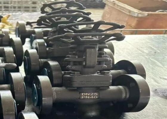 Handbediende stalen schuifafsluiter met geschroefde kap DN10-DN50 150lb-1500lb Hoge corrosiebestendigheid